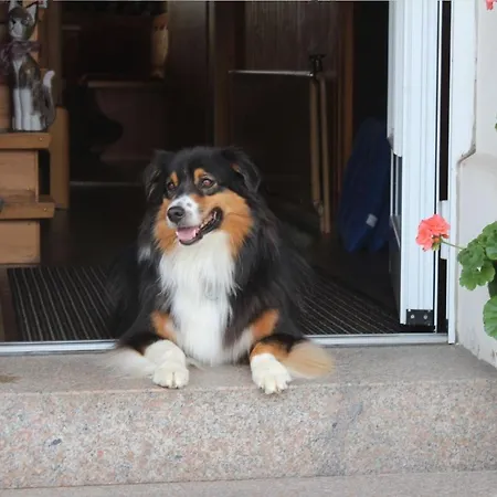 Haus Sutter * Schopfheim