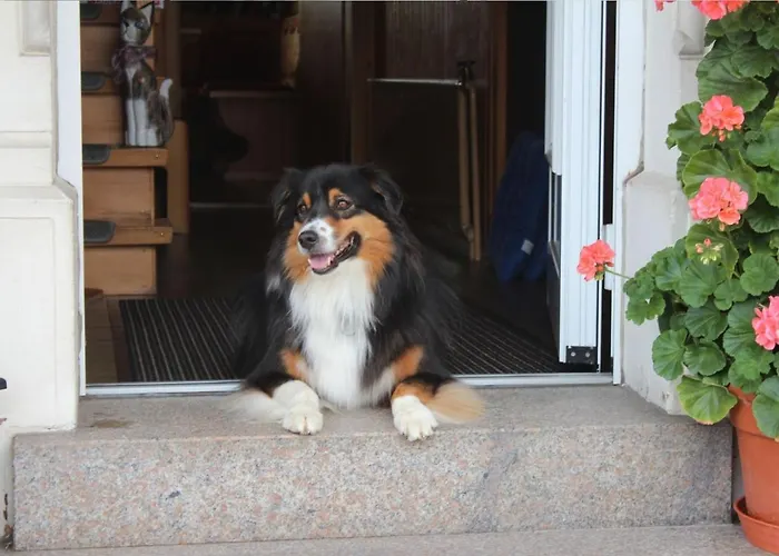 Haus Sutter * Шопфхайм