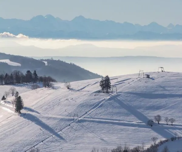 Апартаменты Haus Sutter *